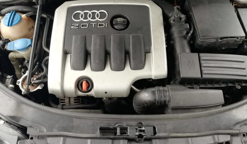 AUDI A3 8P 2.0 TDI 3 PORTE pieno